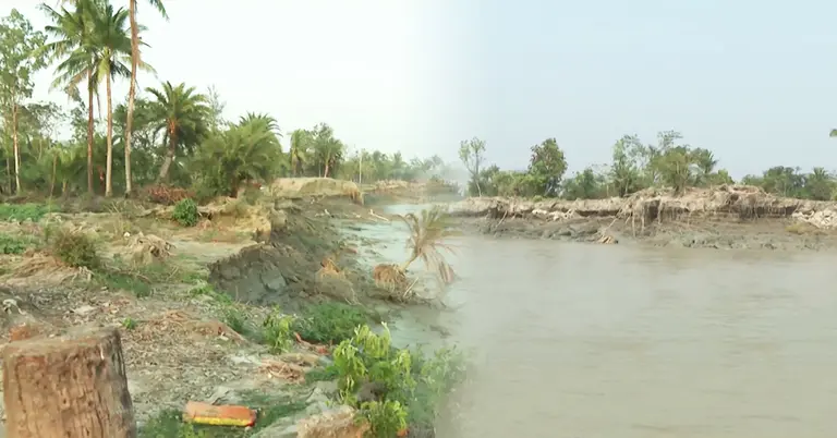 দ্বীপ উড়িরচর